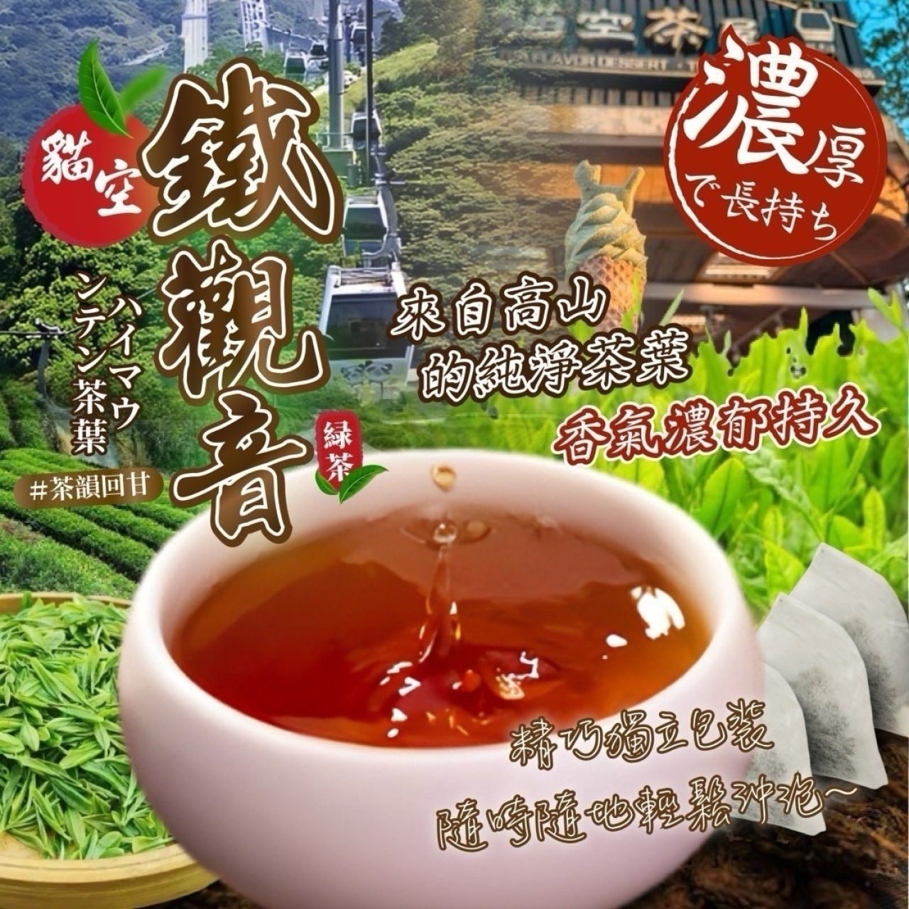 貓空鐵觀音原葉茶包