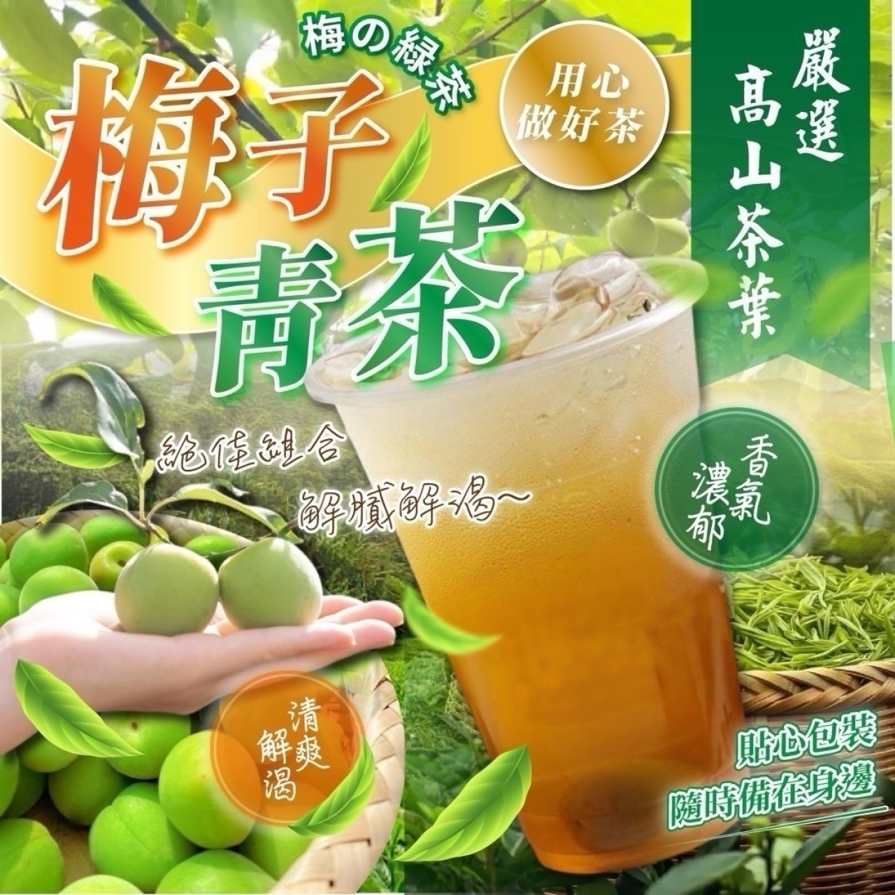 精心醞釀 高山梅子青茶