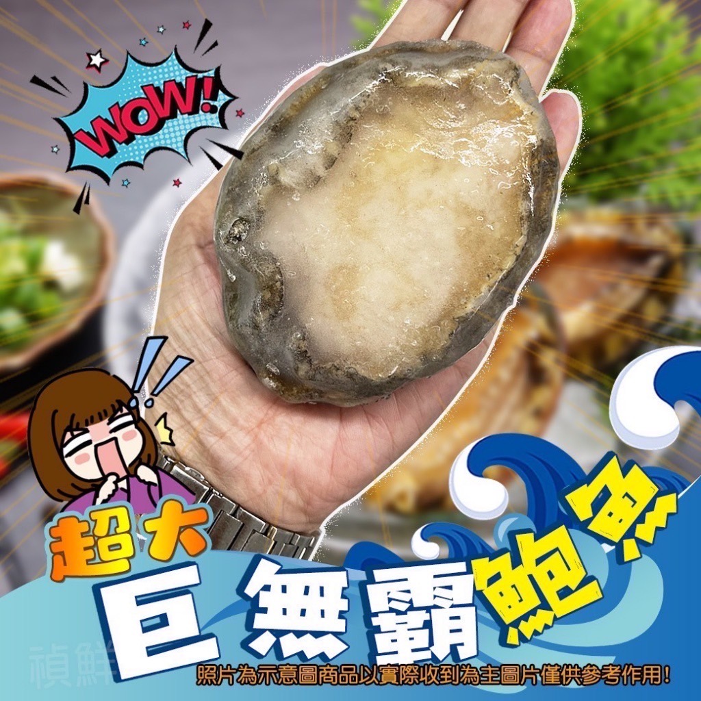 [冷凍]超巨大帶殼鮑魚[1000g/8-10顆]