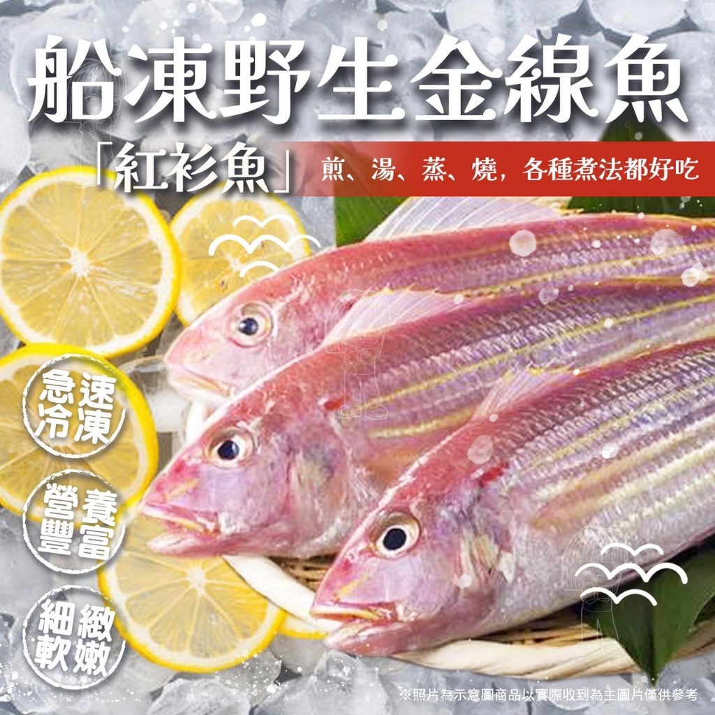 [冷凍][1組2隻]船凍野生金線魚[400g±10%/包]