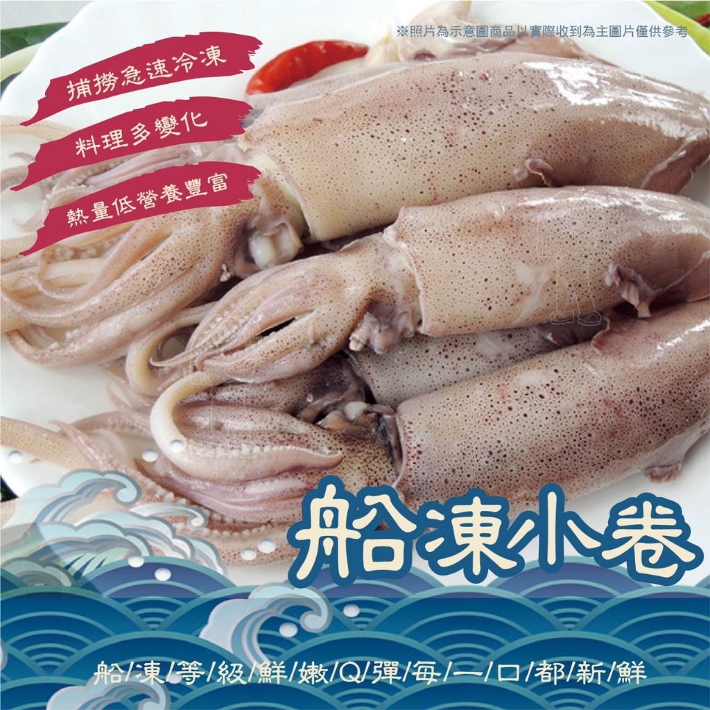 [冷凍]野生船凍小卷[500g±10%/包][約7-10隻]