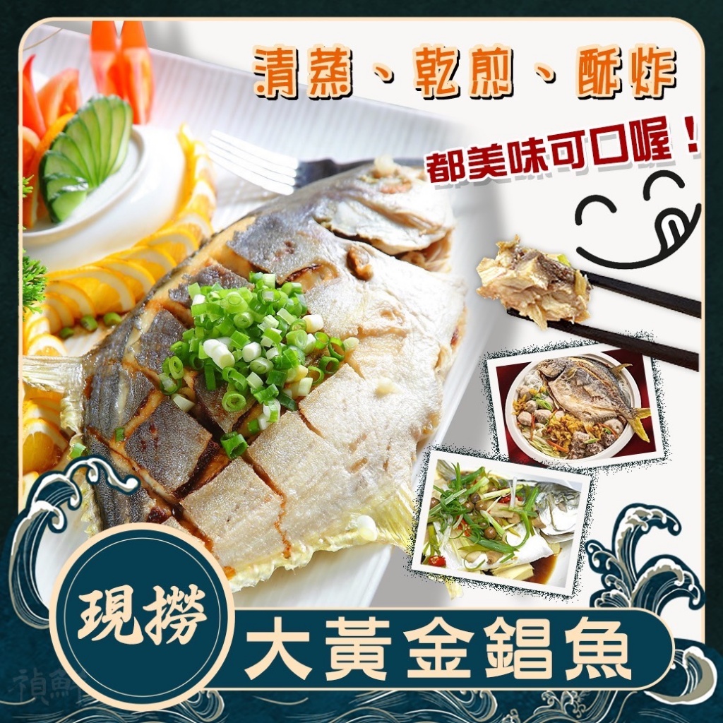 [冷凍][500/600g±10%隻]現撈大黃金錩魚