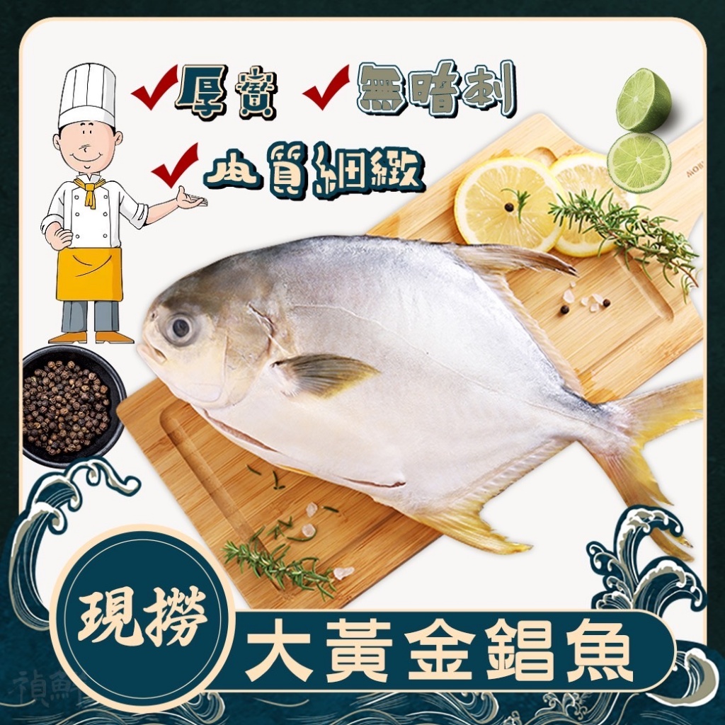 [冷凍][400/500g±10%隻]現撈黃金錩魚