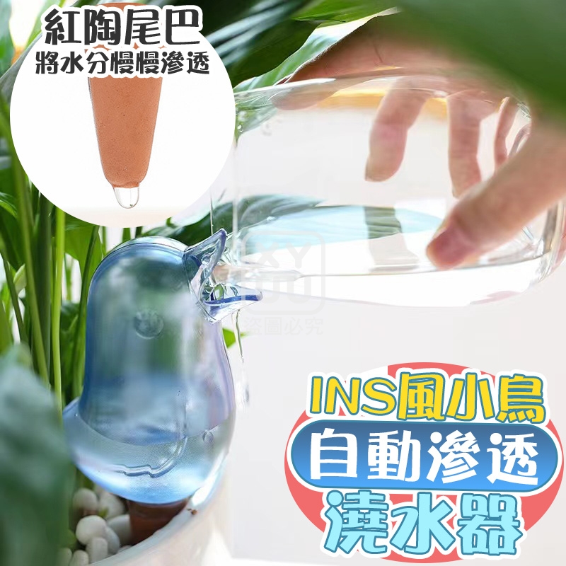 (2個)INS風小鳥自動滲透澆水器