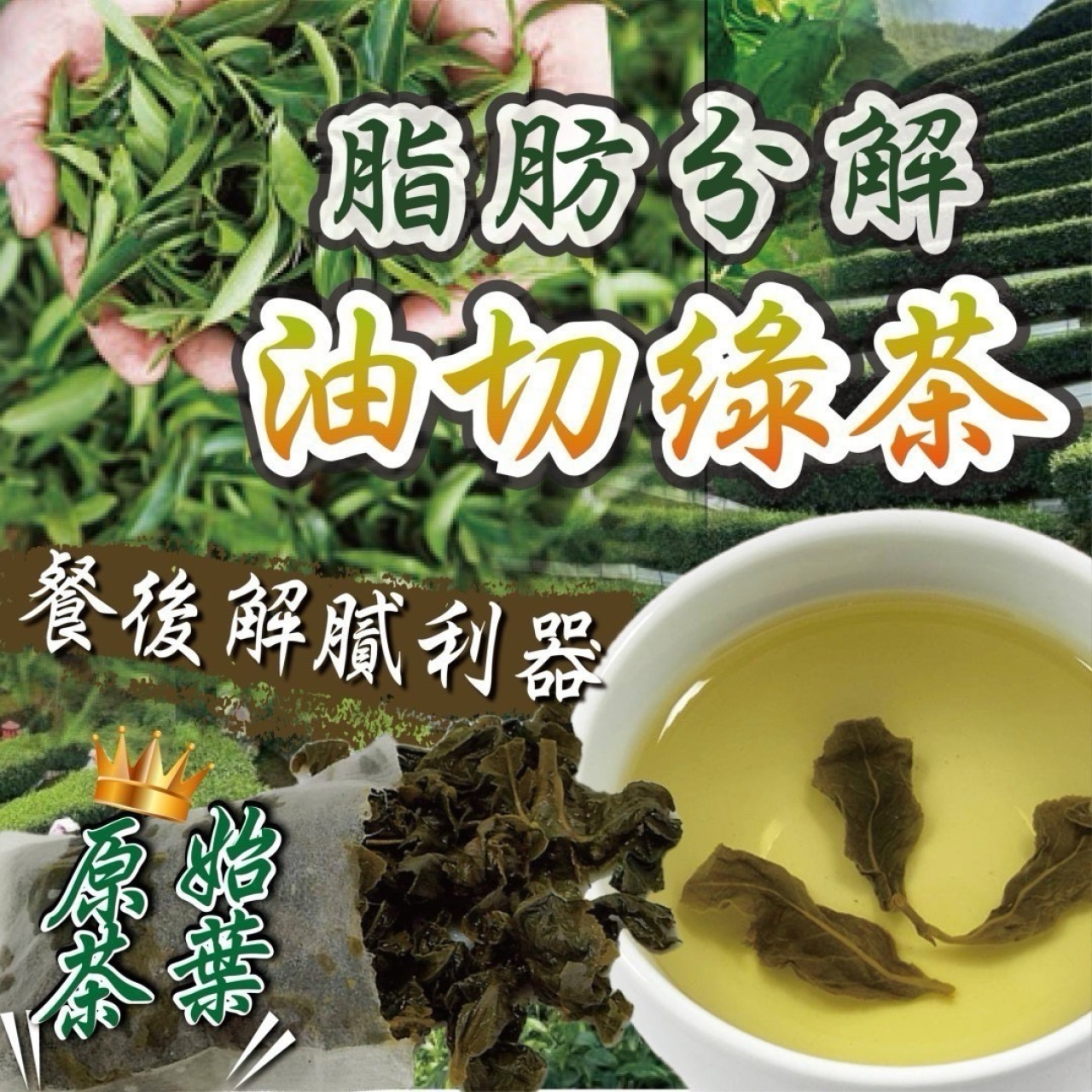 原始茶葉『脂肪分解油切綠茶』