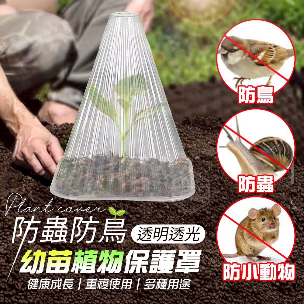 (4包)透明透光防蟲防鳥幼苗植物保護罩20入