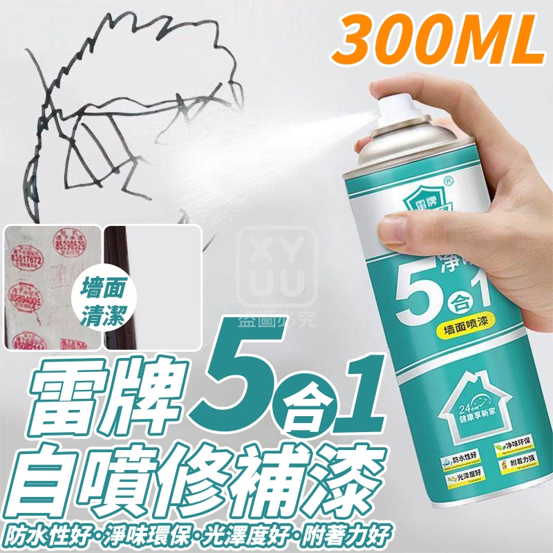 (4瓶)雷牌5合1自噴修補漆