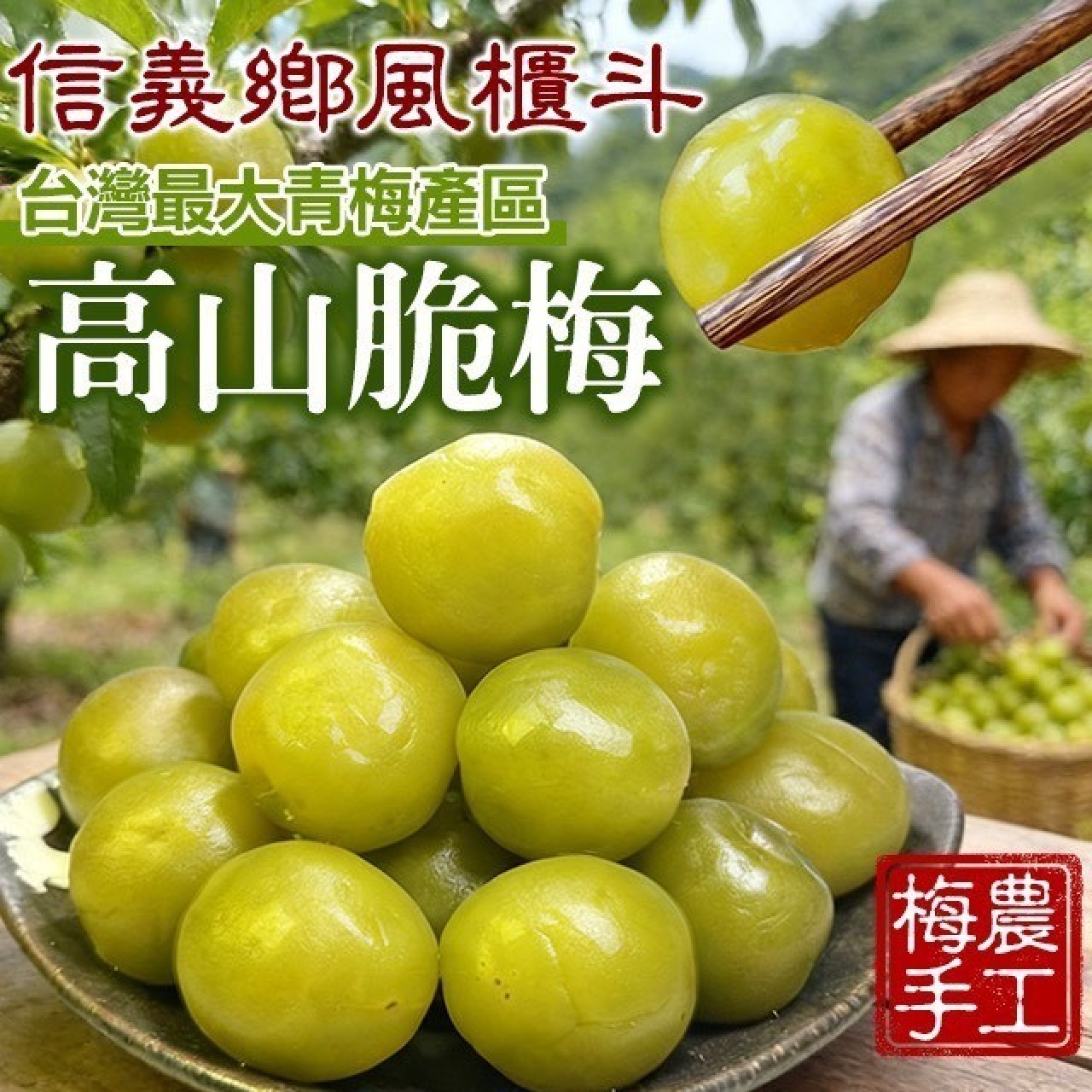 信義鄉風櫃斗 高山巨無霸脆梅