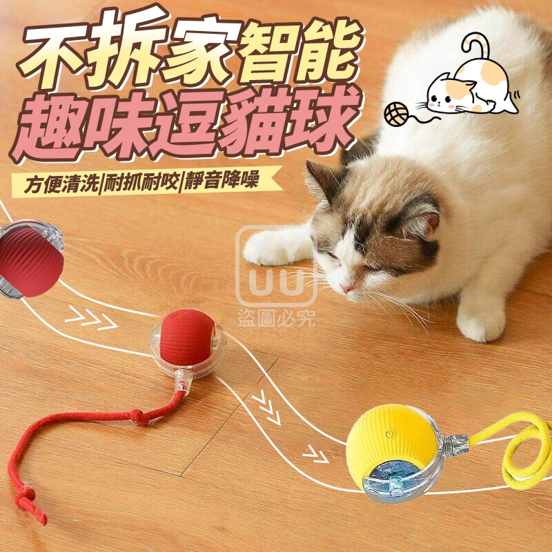 (2個)不拆家智能趣味逗貓球