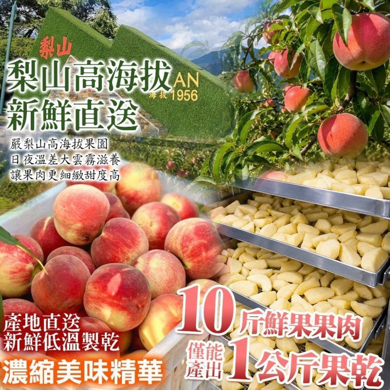梨山蜜果雙寶 低糖蜜桃+蜜蘋果乾